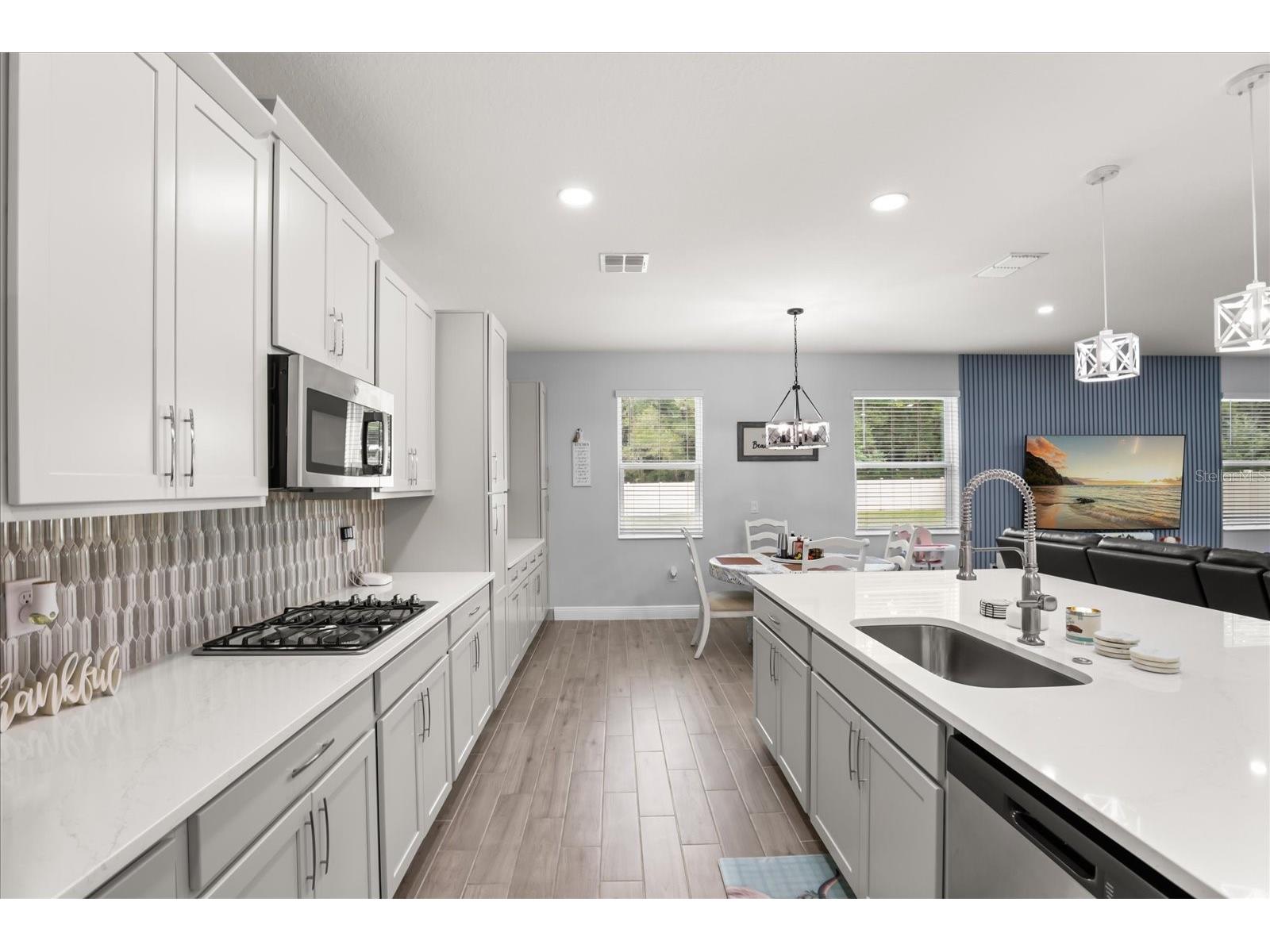5867 Sierra Crown Street Mount Dora FL 32757 S5148417 image11