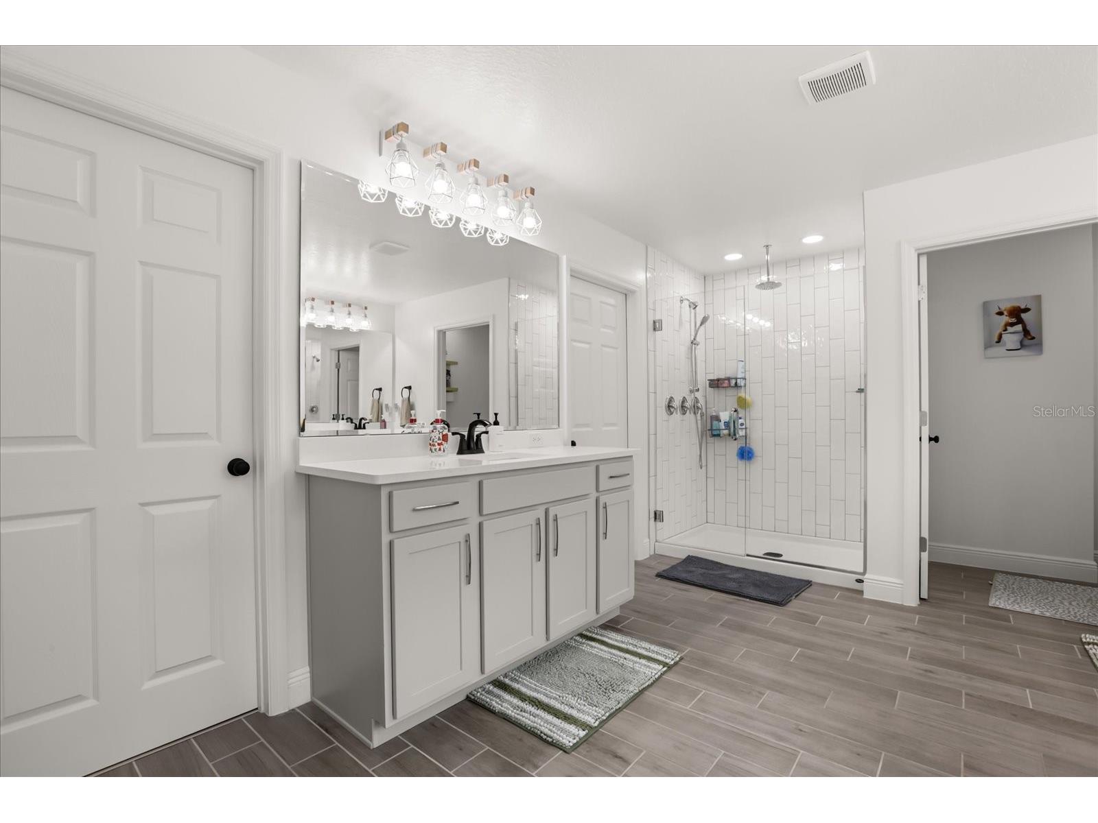 5867 Sierra Crown Street Mount Dora FL 32757 S5148417 image25