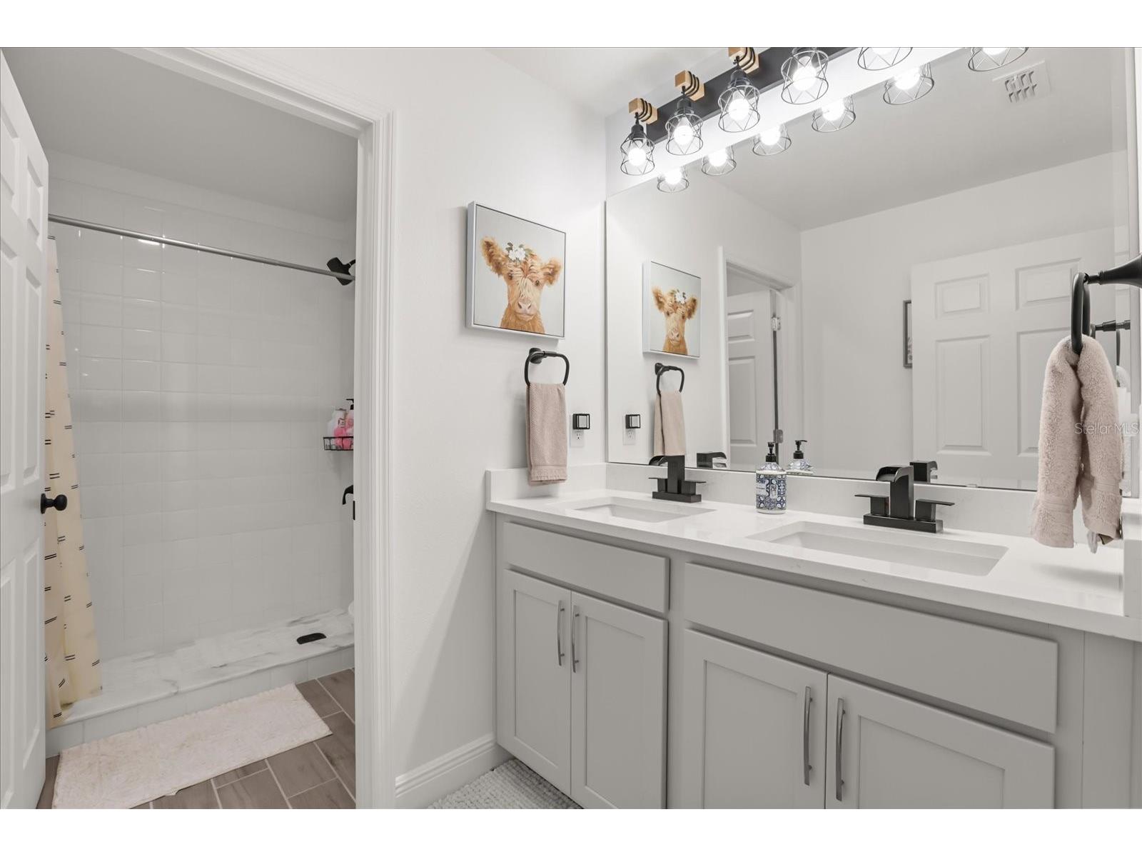 5867 Sierra Crown Street Mount Dora FL 32757 S5148417 image27