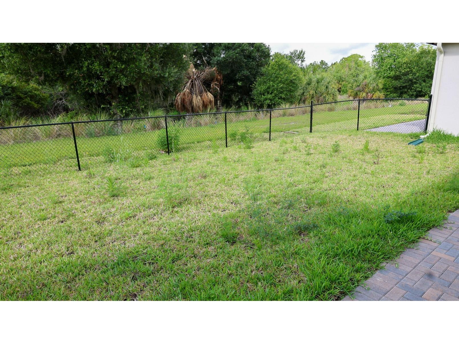 5868 Agostino Way Ave Maria FL 34142 O6393995 image27