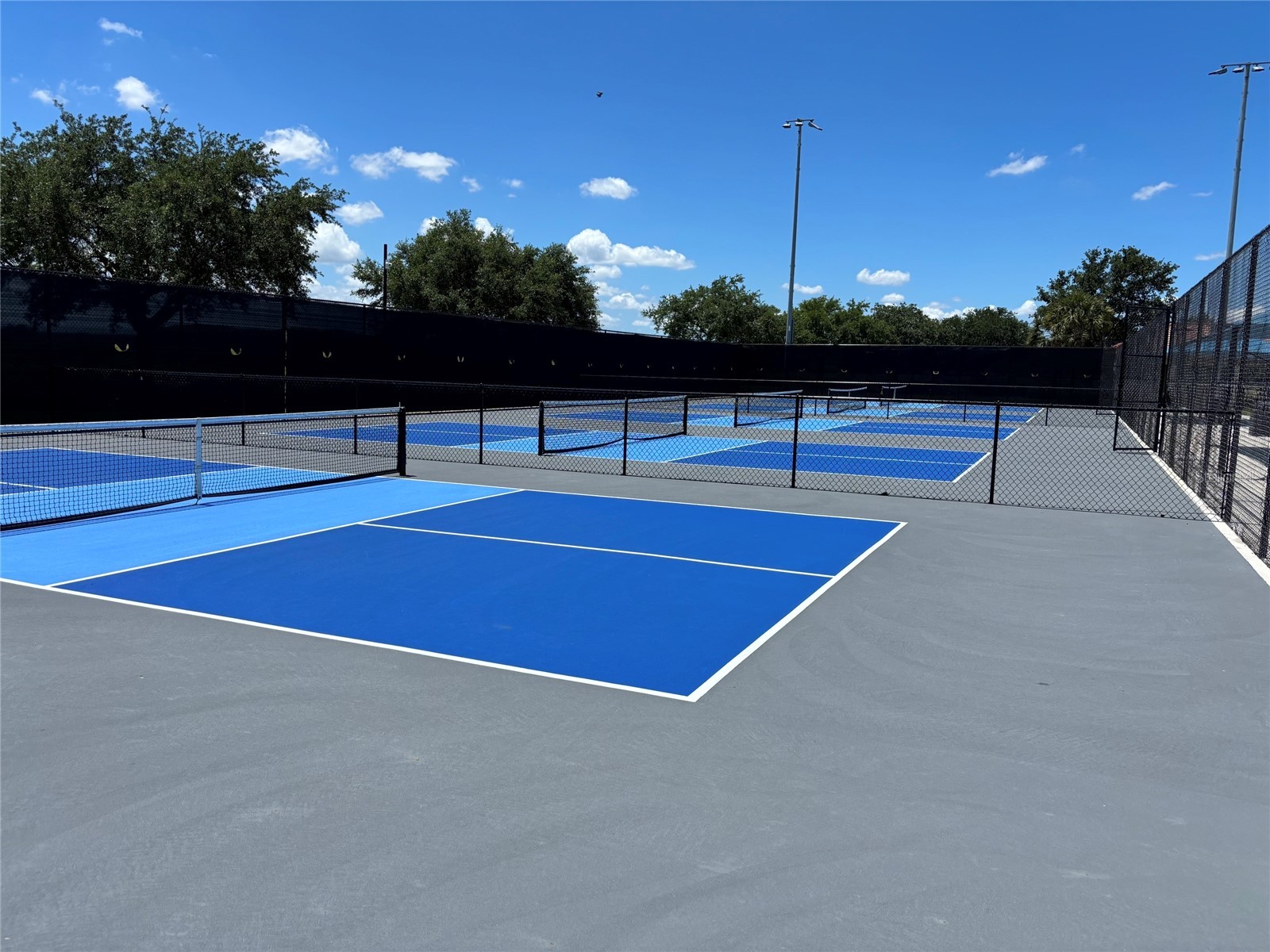 5868 Agostino Way Ave Maria FL 34142 O6393995 image57
