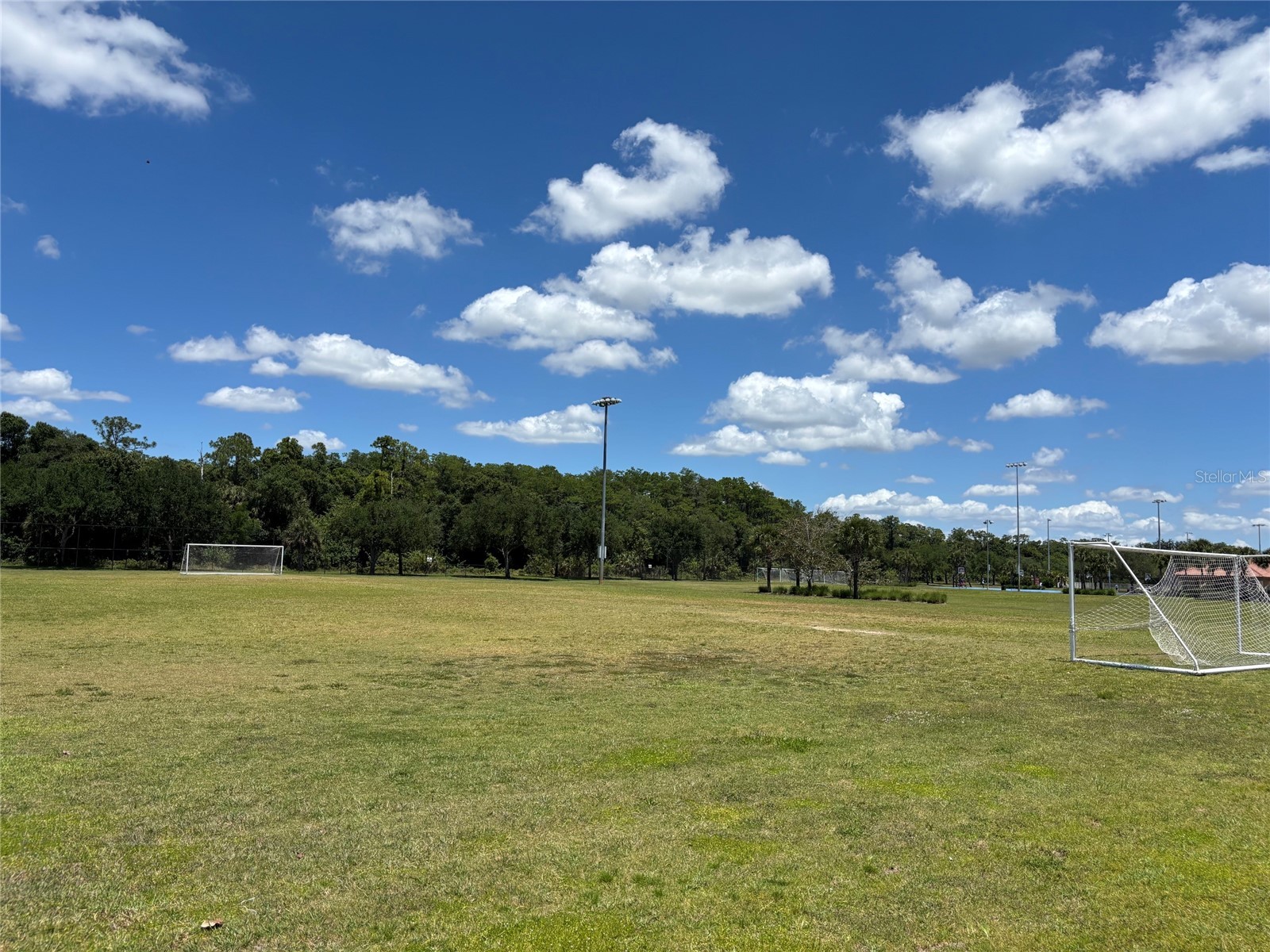 5868 Agostino Way Ave Maria FL 34142 O6393995 image60