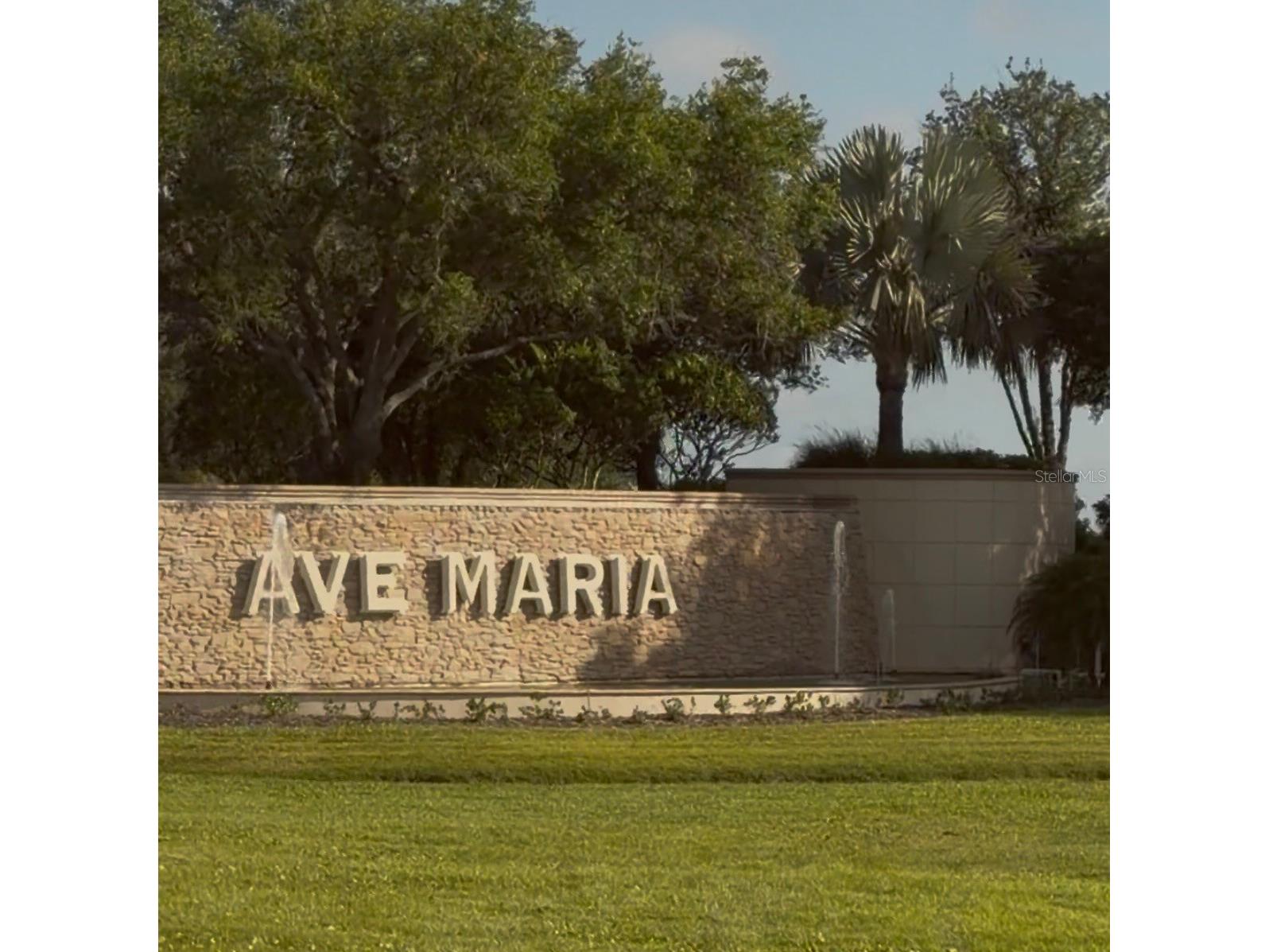 5868 Agostino Way Ave Maria FL 34142 O6393995 image62