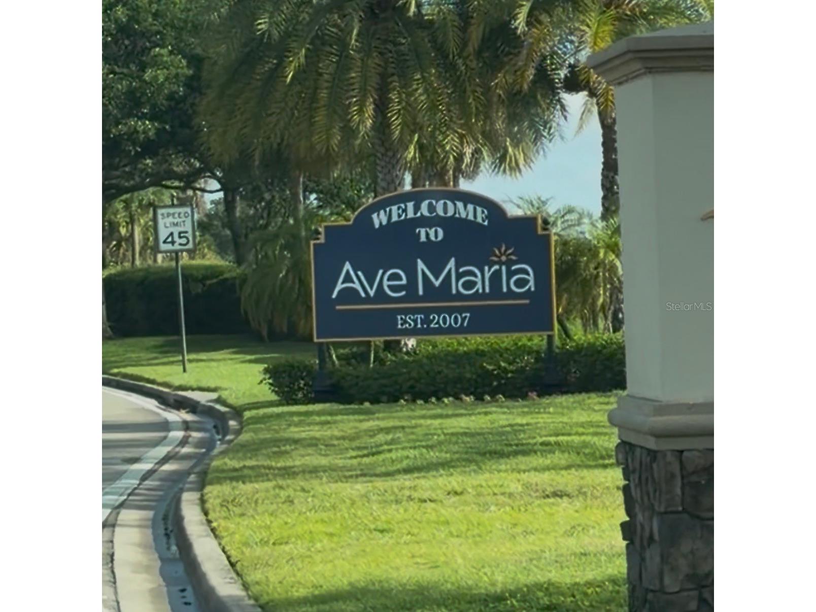 5868 Agostino Way Ave Maria FL 34142 O6393995 image63