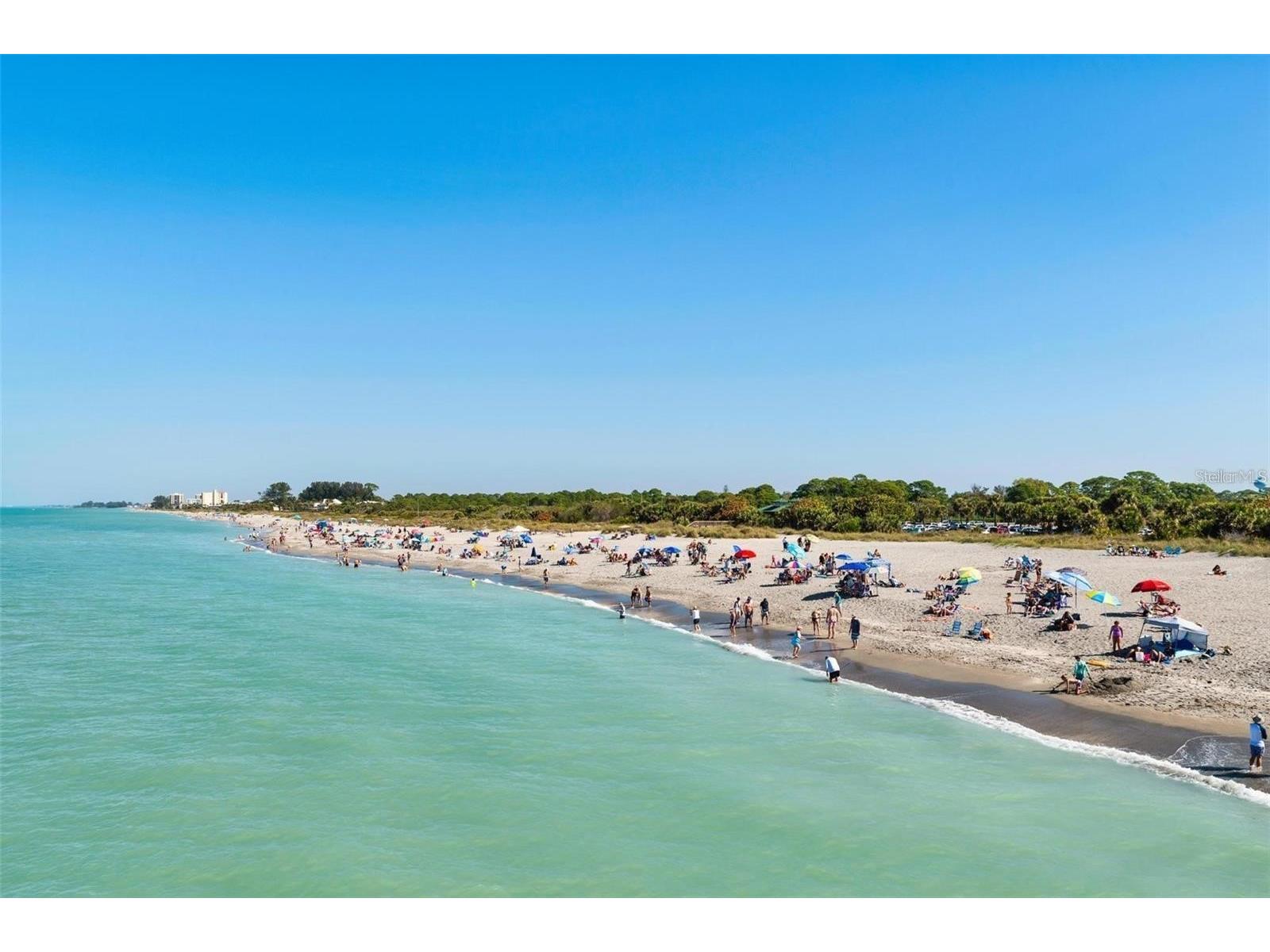 5868 Semolino Street Nokomis FL 34275 N6142731 image51