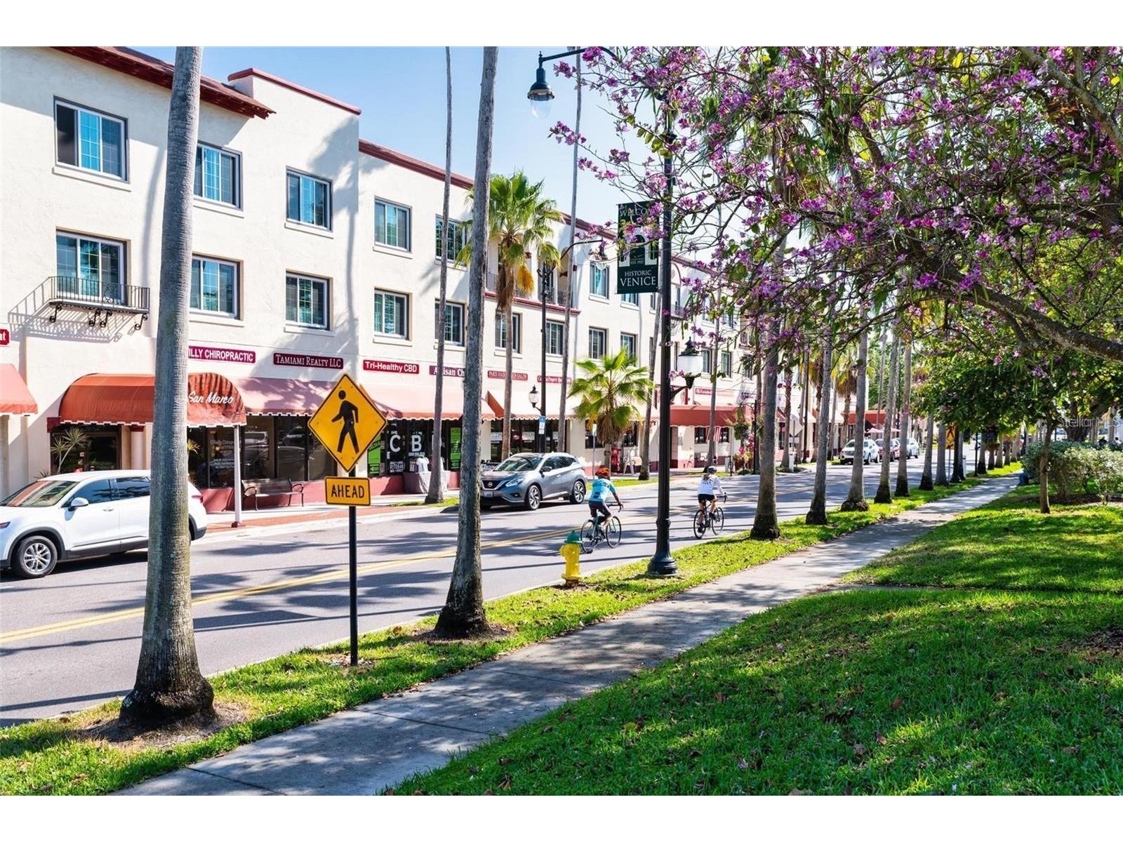 5868 Semolino Street Nokomis FL 34275 N6142731 image78