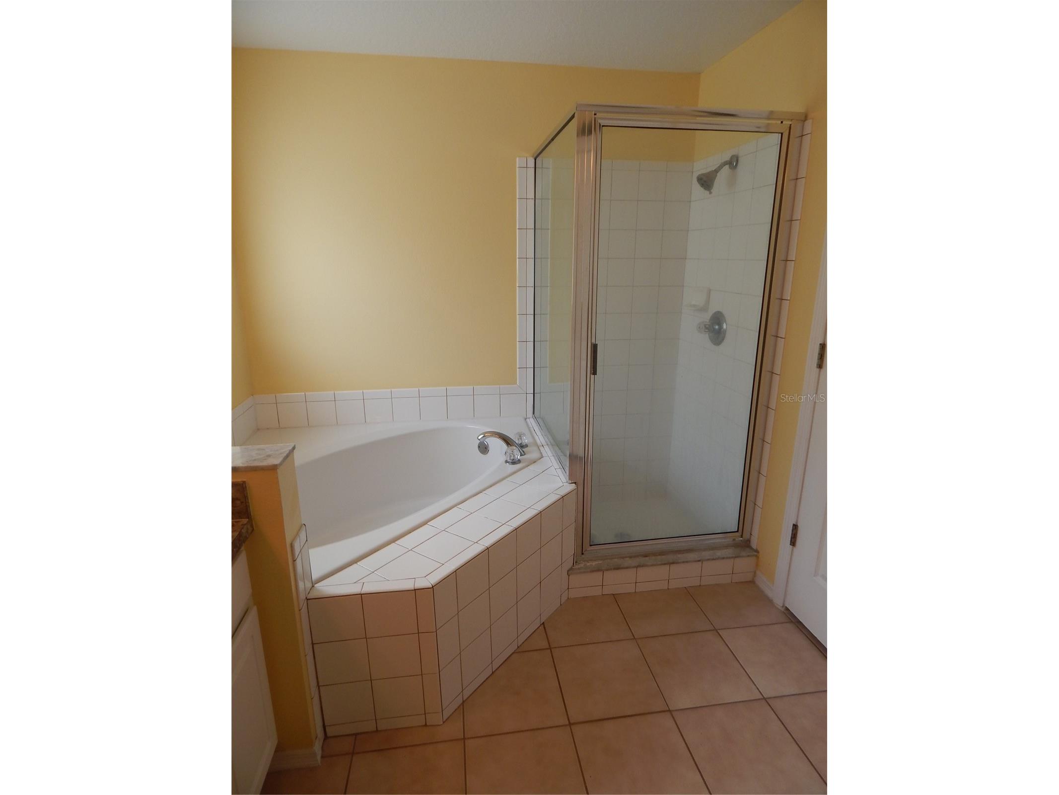 5869 Meadowpark Place Lithia FL 33547 TB8510744 image14