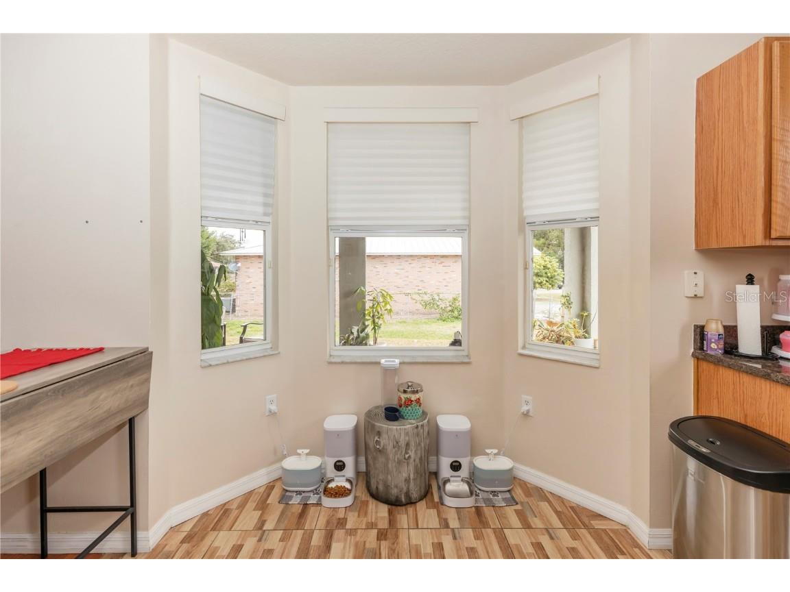 587 Bluff Pass Drive Eustis FL 32726 O6270414 image9