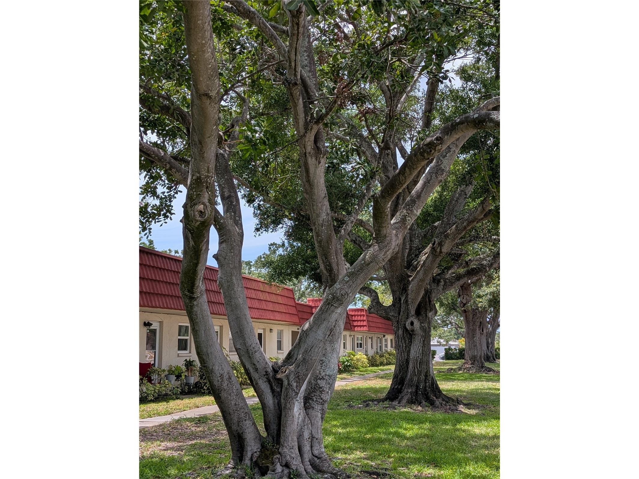 5870 38th Avenue N #40 Saint Petersburg FL 33710 TB8512866 image16
