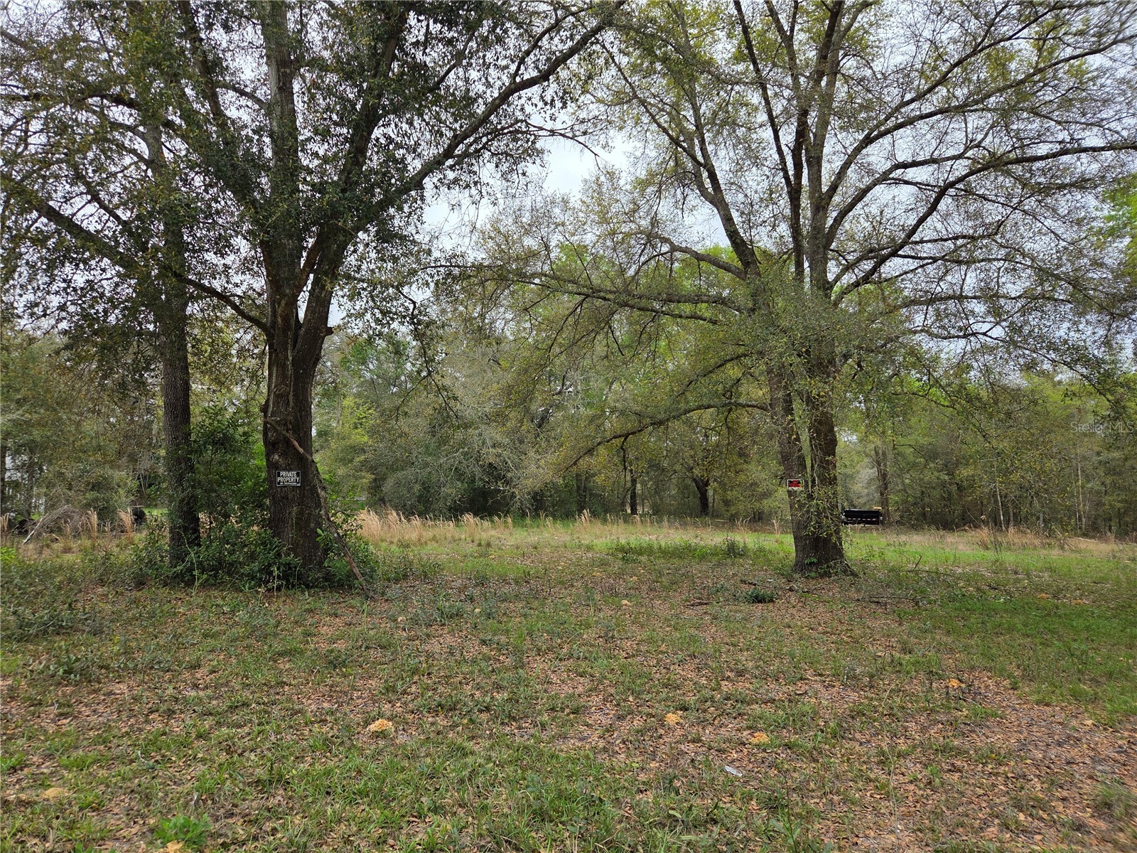 5870 NE 139th Avenue Williston FL 32696 OM721602 image1