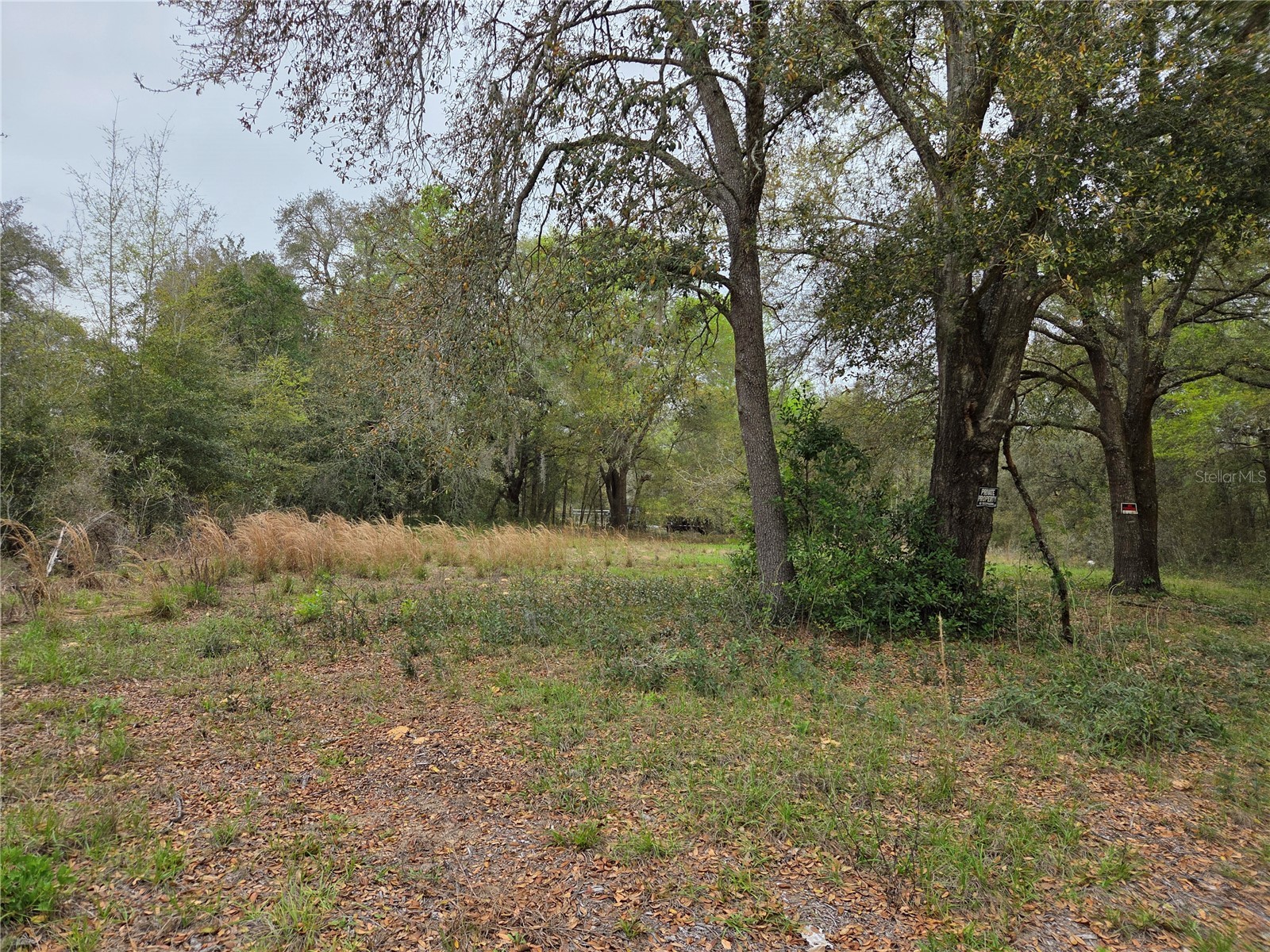 5870 NE 139th Avenue Williston FL 32696 OM721602 image2