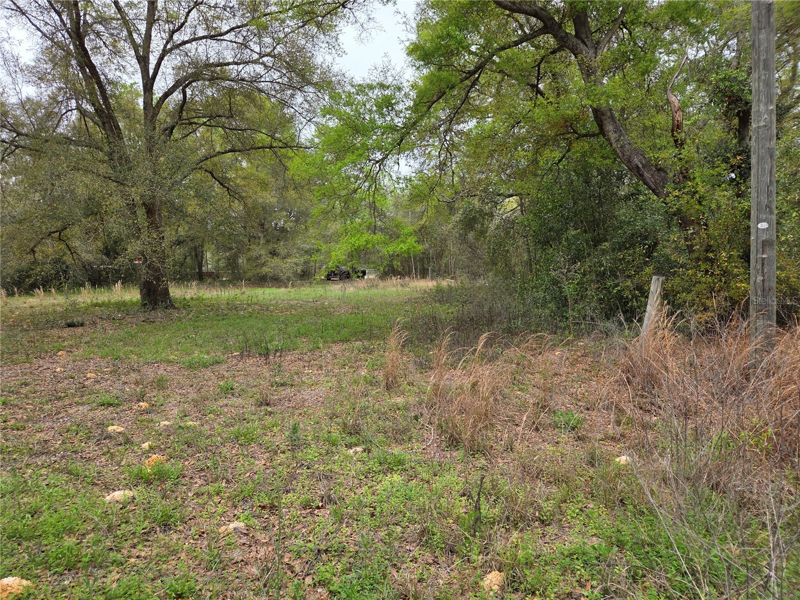5870 NE 139th Avenue Williston FL 32696 OM721602 image3
