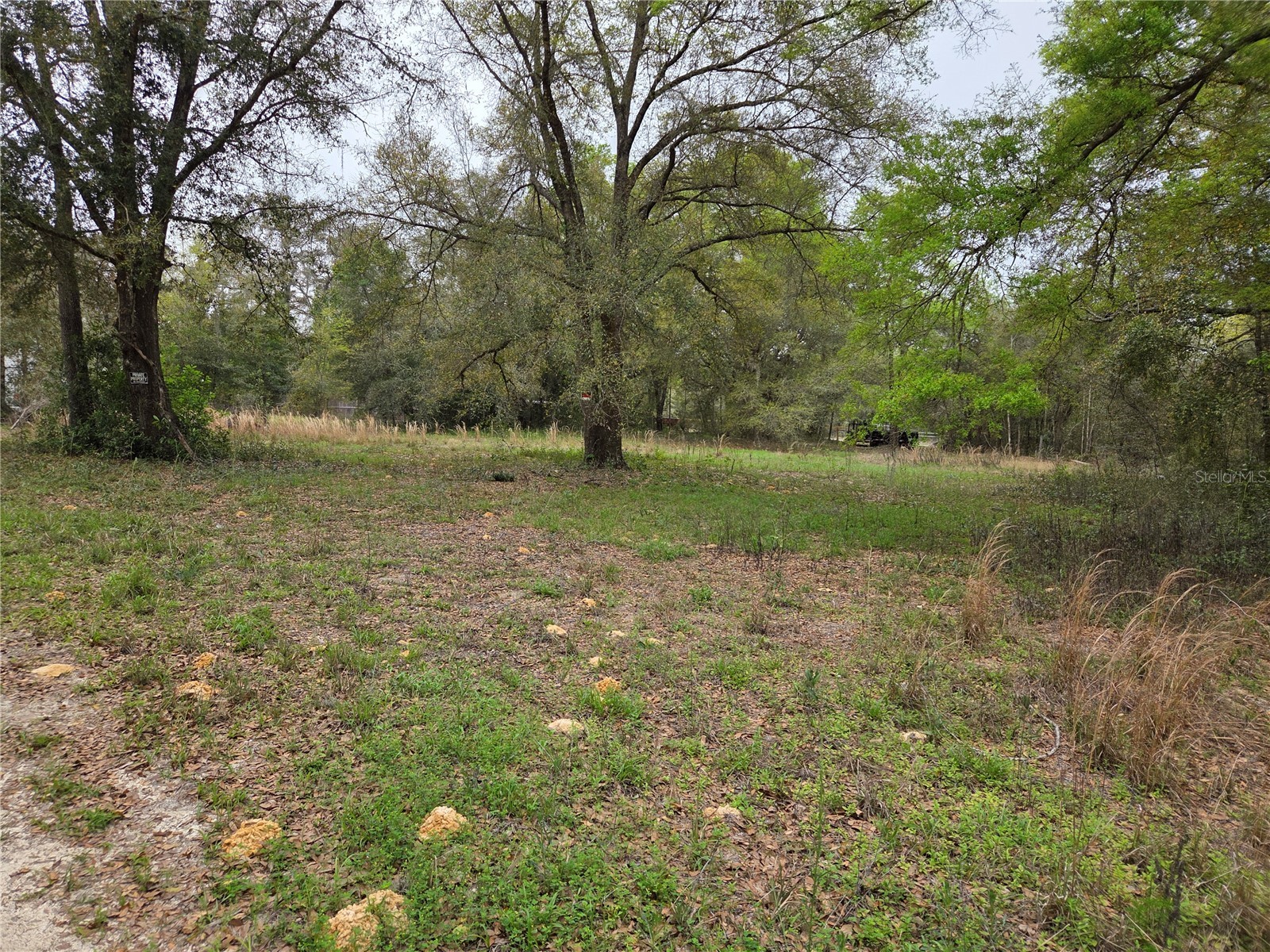 5870 NE 139th Avenue Williston FL 32696 OM721602 image4
