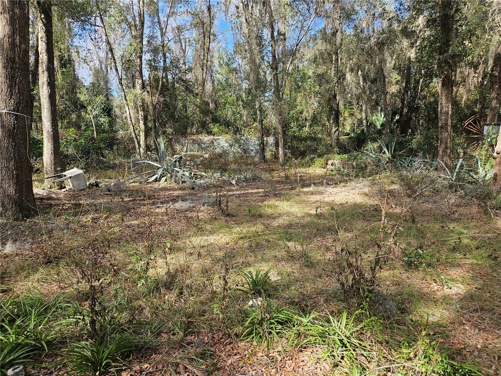 5870 SE 158th Court Ocklawaha FL 32179 OM717737 image13
