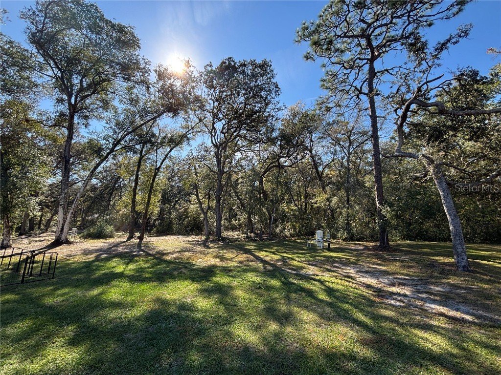 5870 SE 171st Court Ocklawaha FL 32179 OM713783 image4