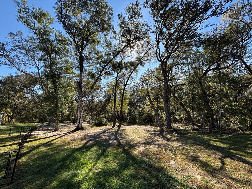 5870 SE 171st Court Ocklawaha FL 32179 OM713783 image5