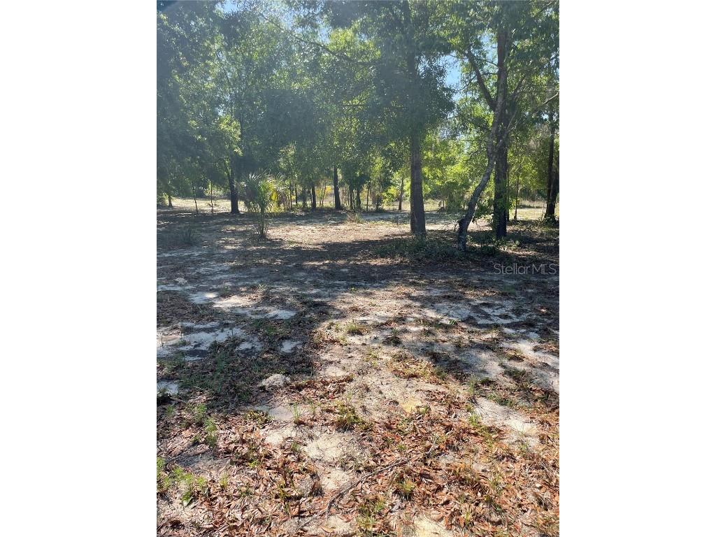 5870 W Junior Lane Dunnellon FL 34433 OM699136 image1