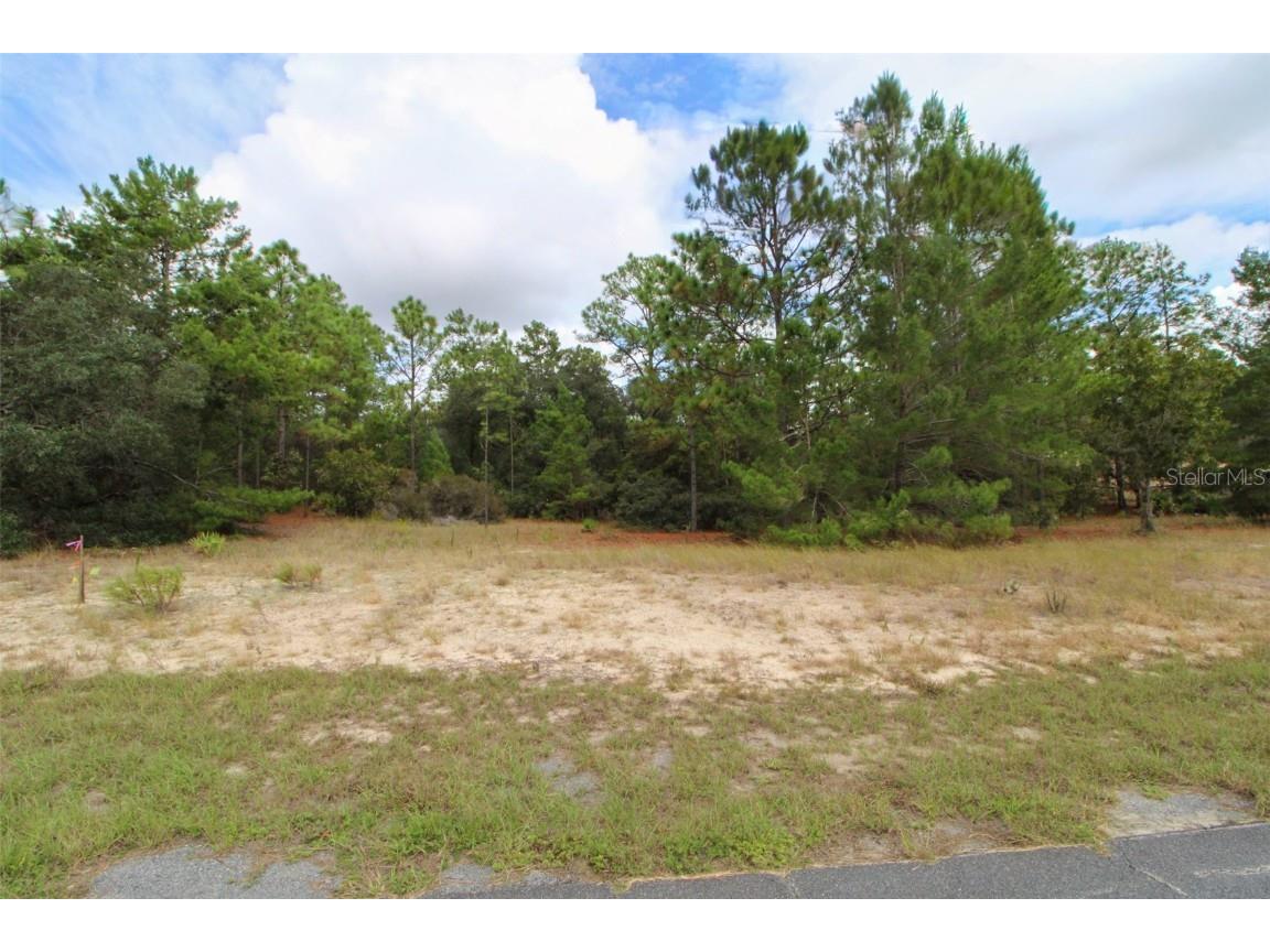 5873 W Conestoga Street Beverly Hills FL 34465 W7880606 image3