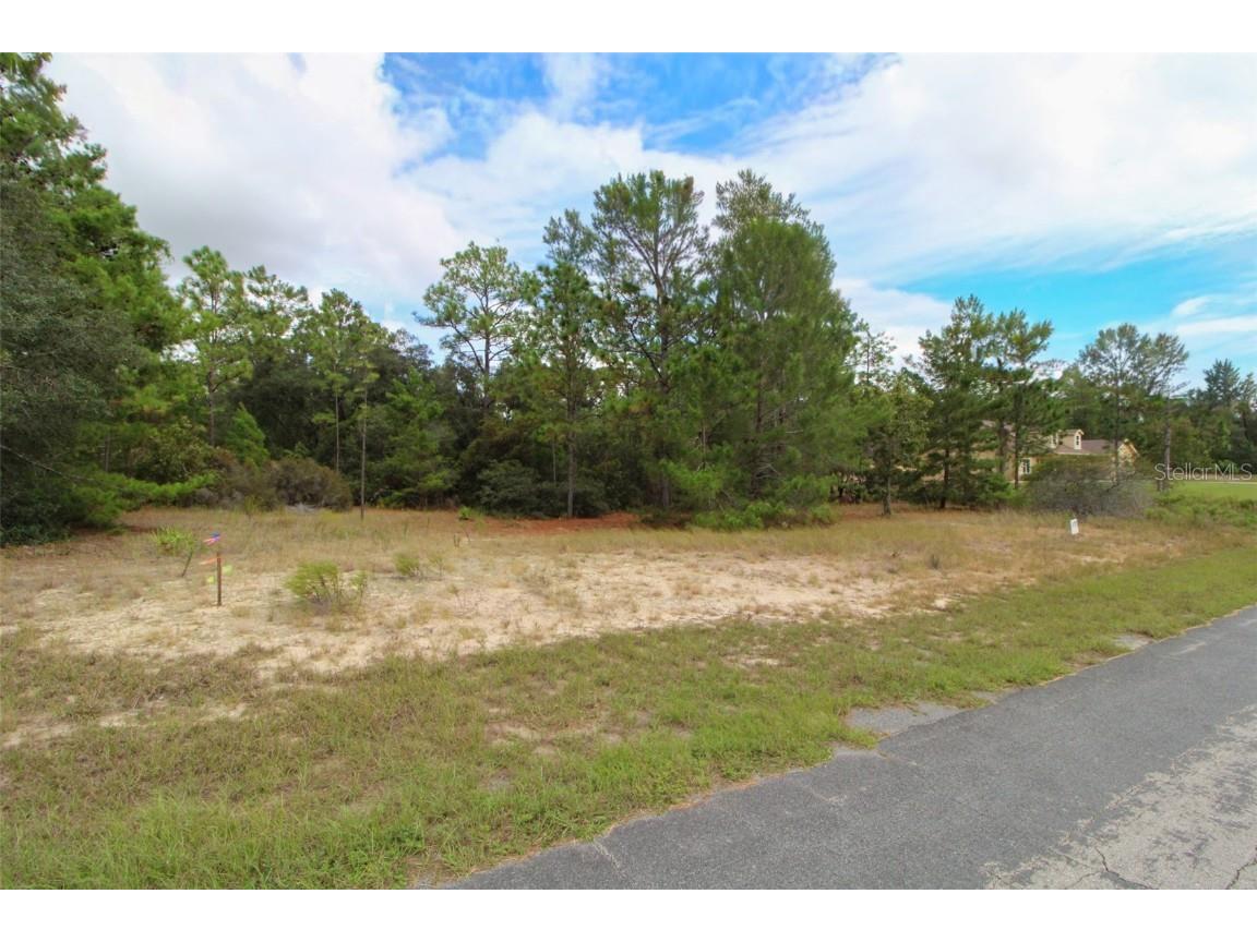 5873 W Conestoga Street Beverly Hills FL 34465 W7880606 image4