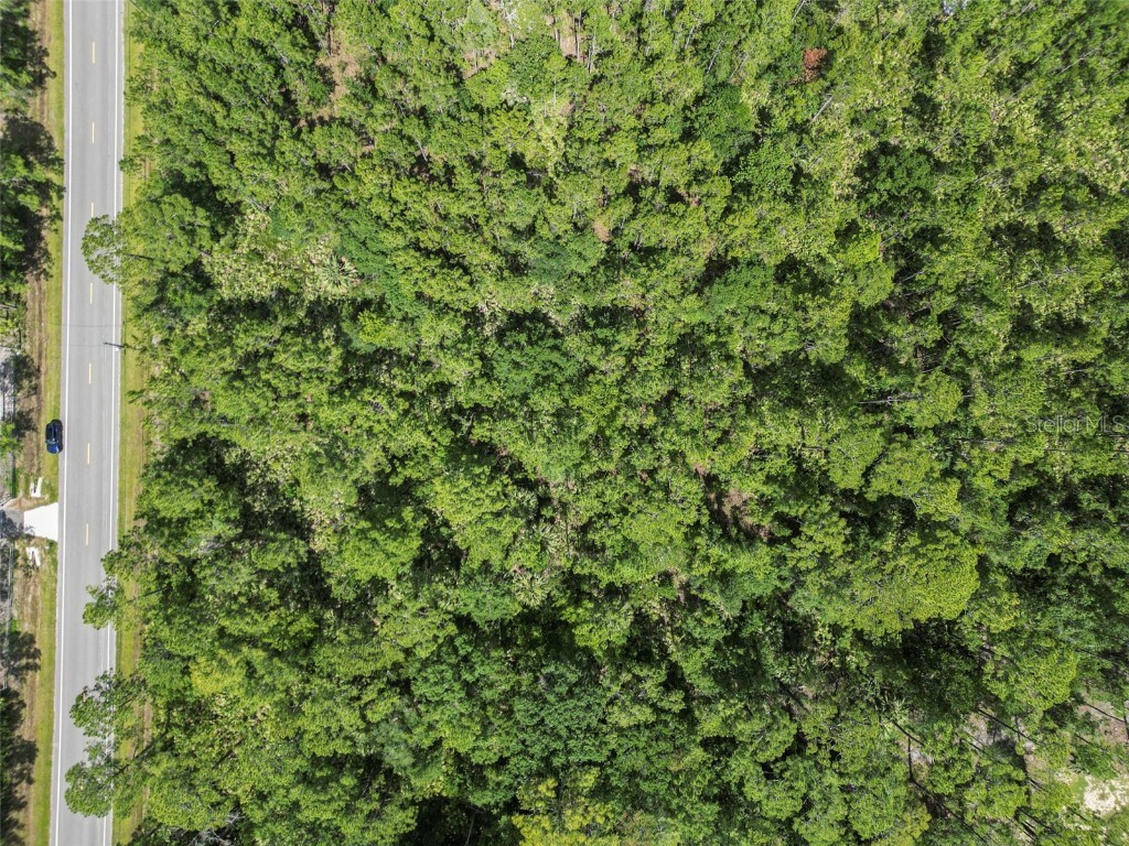 5875 Mahogany Boulevard Bunnell FL 32110 FC311011 image19