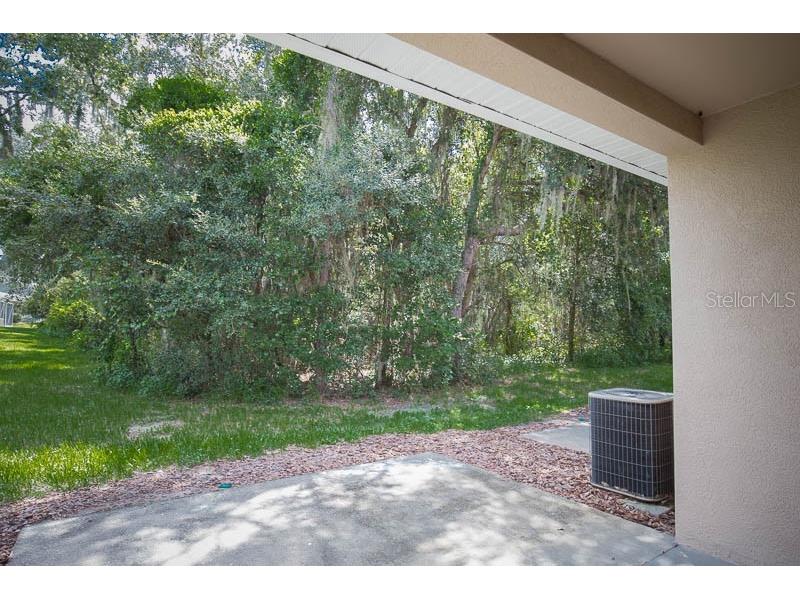 5879 Fishhawk Ridge Drive Lithia FL 33547 TB8517469 image13