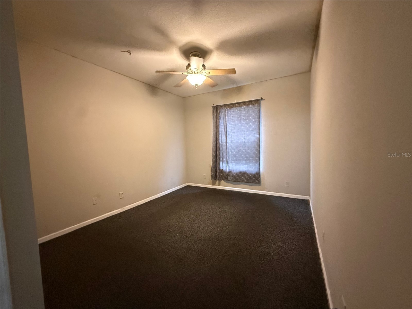 588 Brantley Terrace Way #306 Altamonte Springs FL 32714 TB8521878 image17