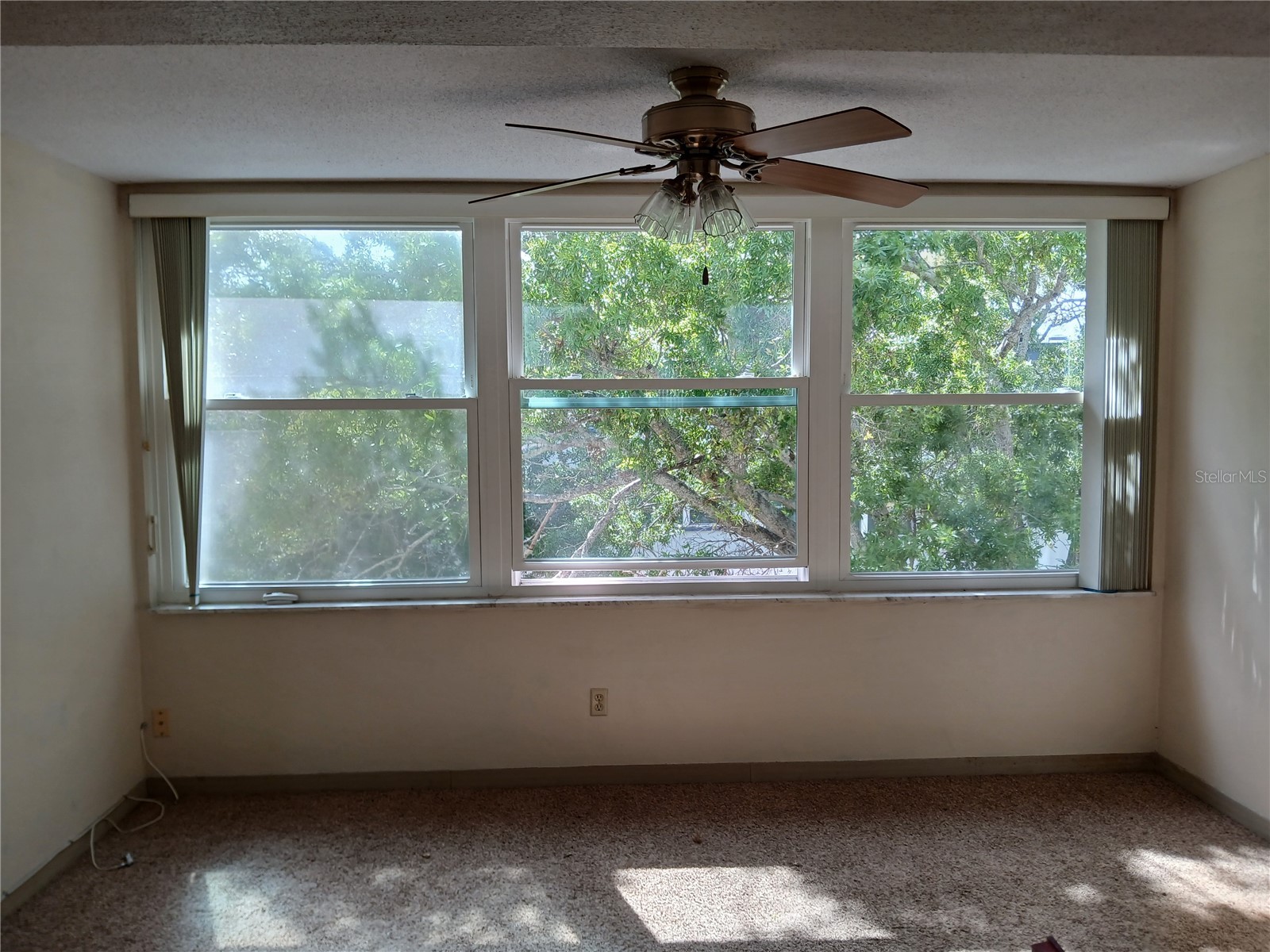 5880 38th Avenue N #304 Saint Petersburg FL 33710 TB8496305 image19