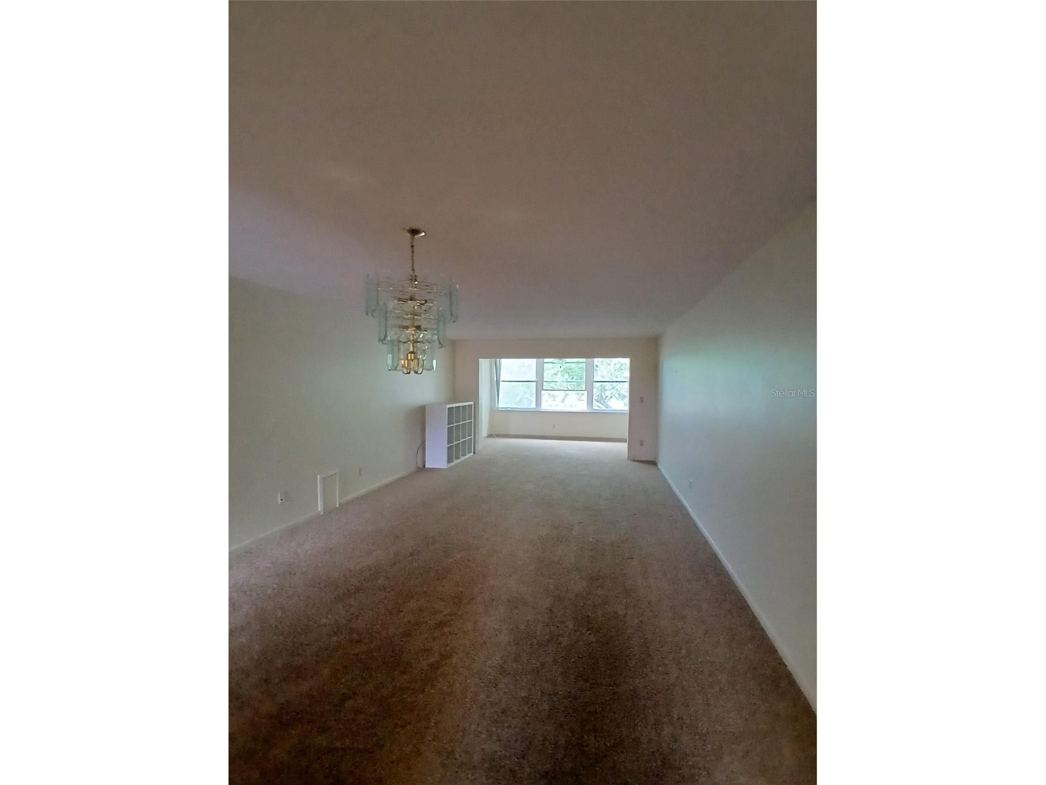 5880 38th Avenue N #304 Saint Petersburg FL 33710 TB8496305 image20