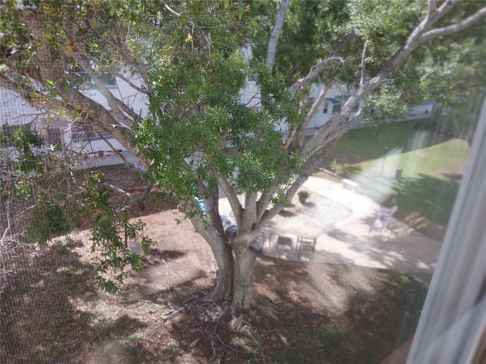 5880 38th Avenue N #304 Saint Petersburg FL 33710 TB8496305 image27