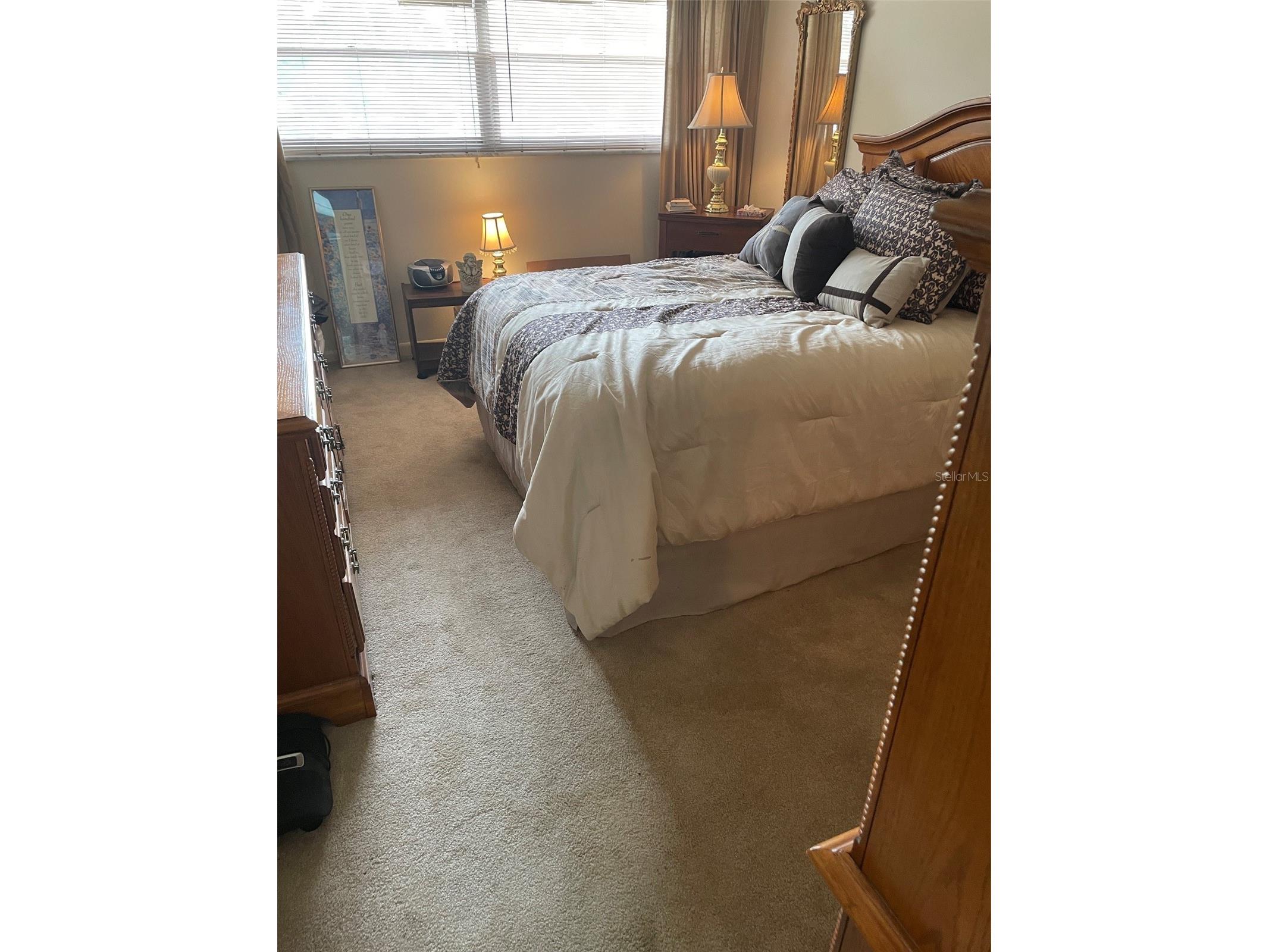 5880 38th Avenue N #308 Saint Petersburg FL 33710 TB8503639 image13