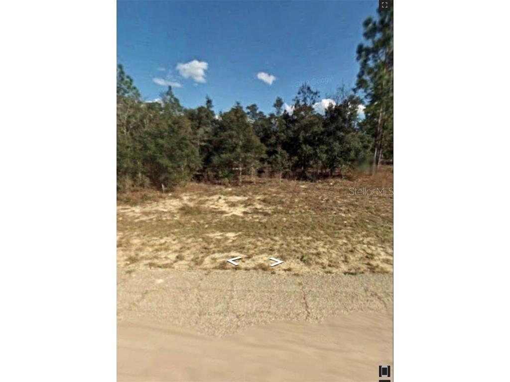 5886 N Matheson Drive Citrus Springs FL 34434 OM658415 image1
