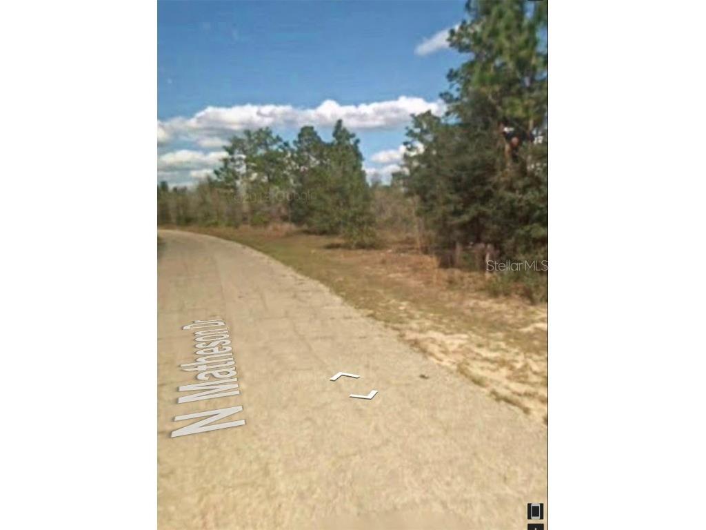 5886 N Matheson Drive Citrus Springs FL 34434 OM658415 image2