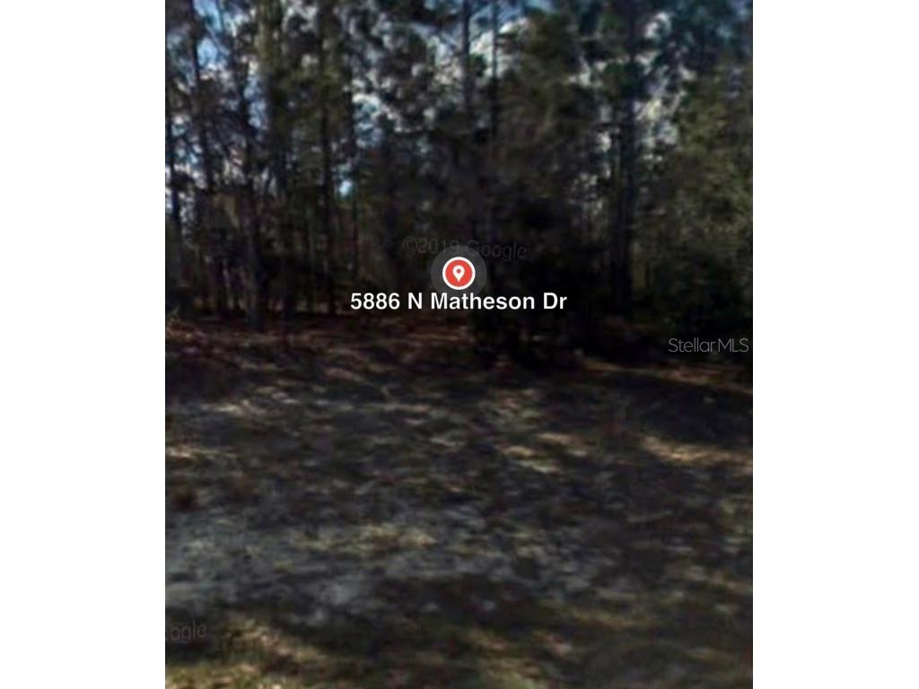 5886 N Matheson Drive Citrus Springs FL 34434 OM658415 image3