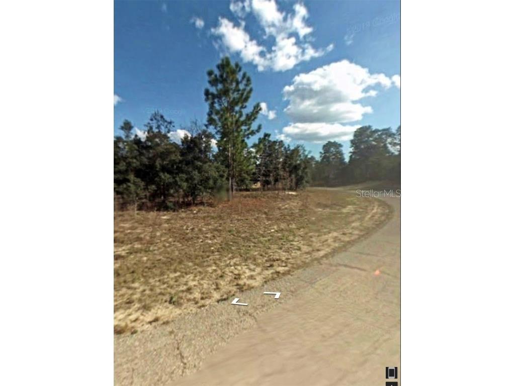 5886 N Matheson Drive Citrus Springs FL 34434 OM658415 image4