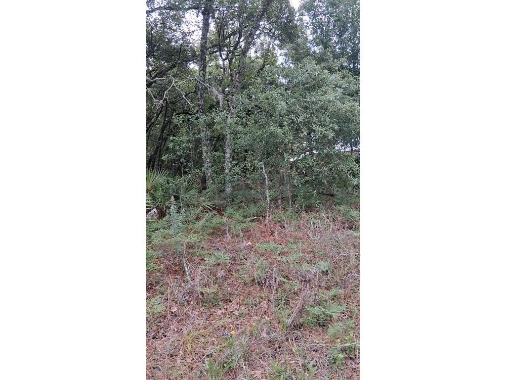 5887 / 5899 N Bedstrow Boulevard Dunnellon FL 34434 W7875254 image1