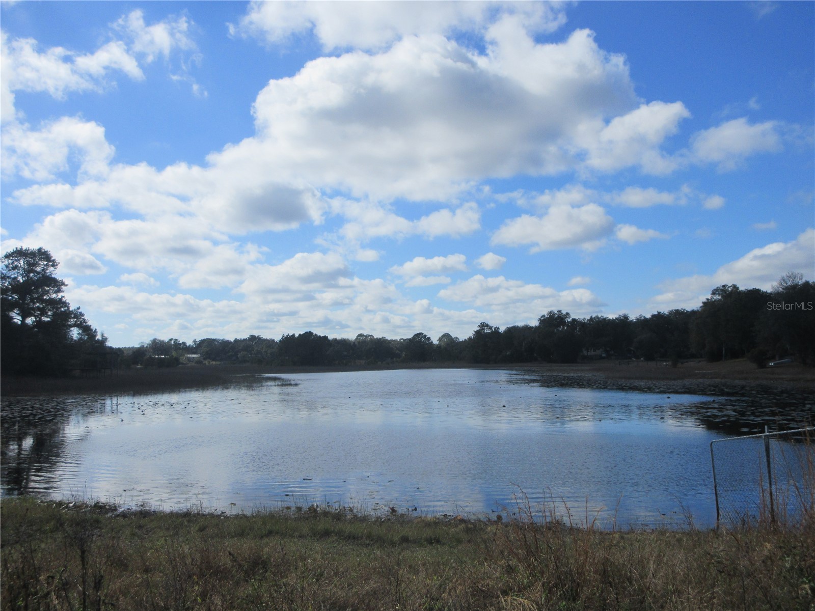 5888 SE 164th Avenue Ocklawaha FL 32179 OM715794 image56