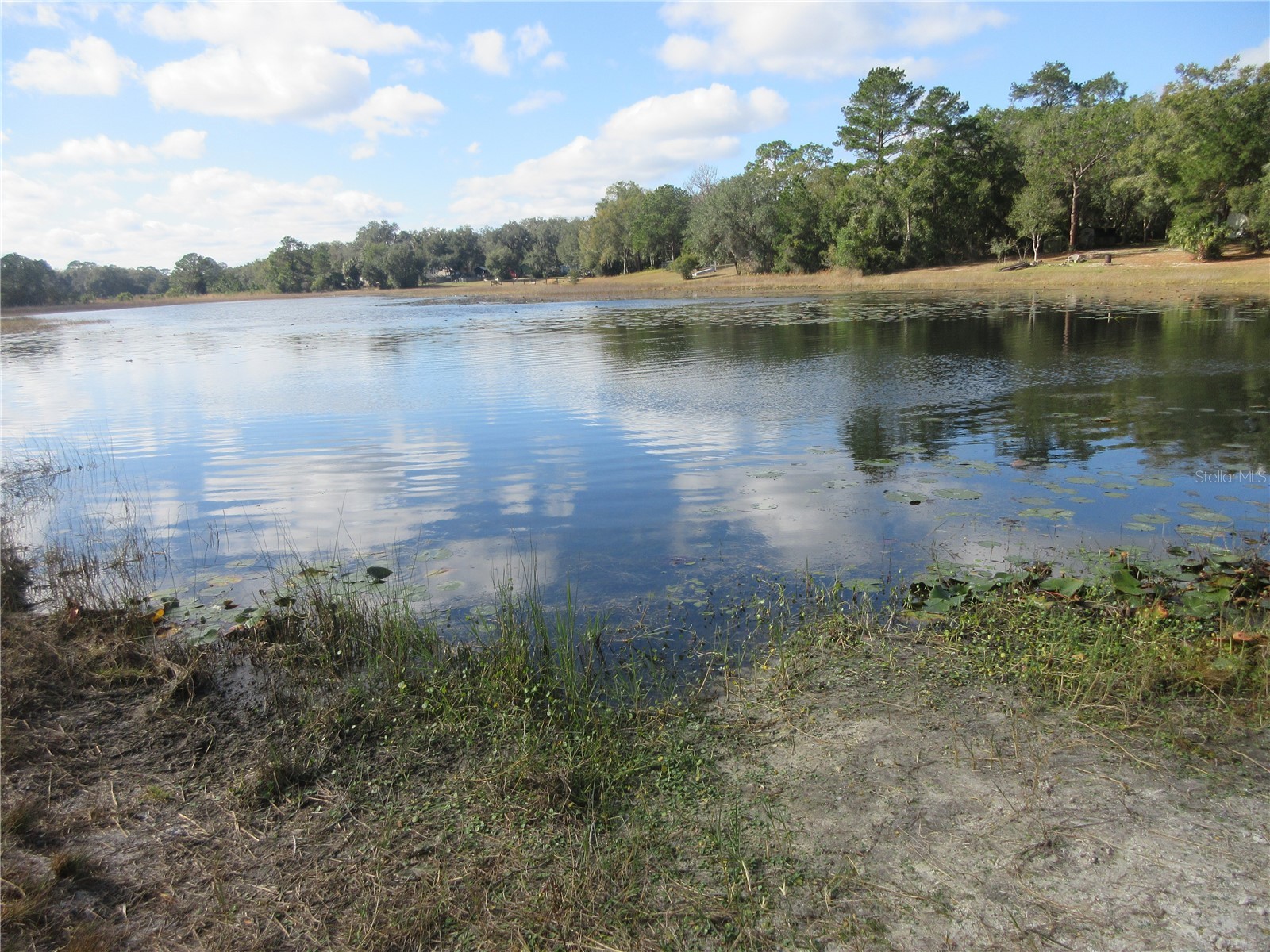 5888 SE 164th Avenue Ocklawaha FL 32179 OM715794 image57