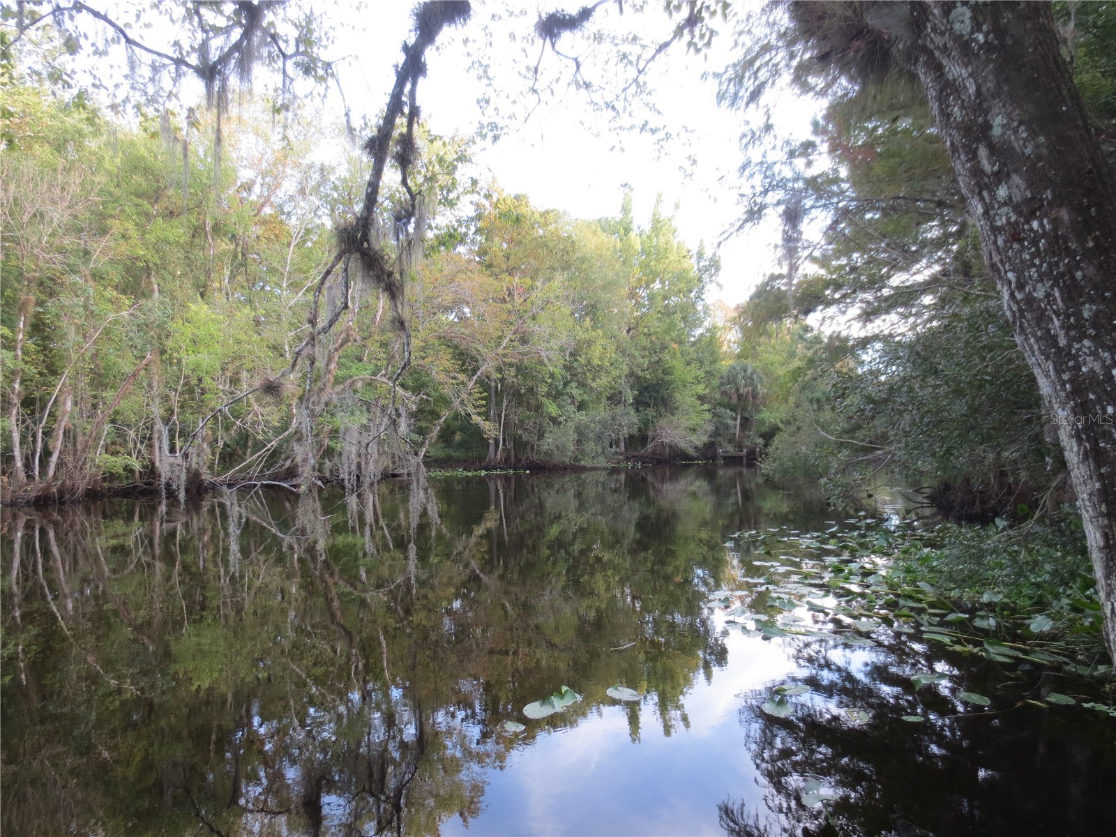 5888 SE 164th Avenue Ocklawaha FL 32179 OM715794 image75