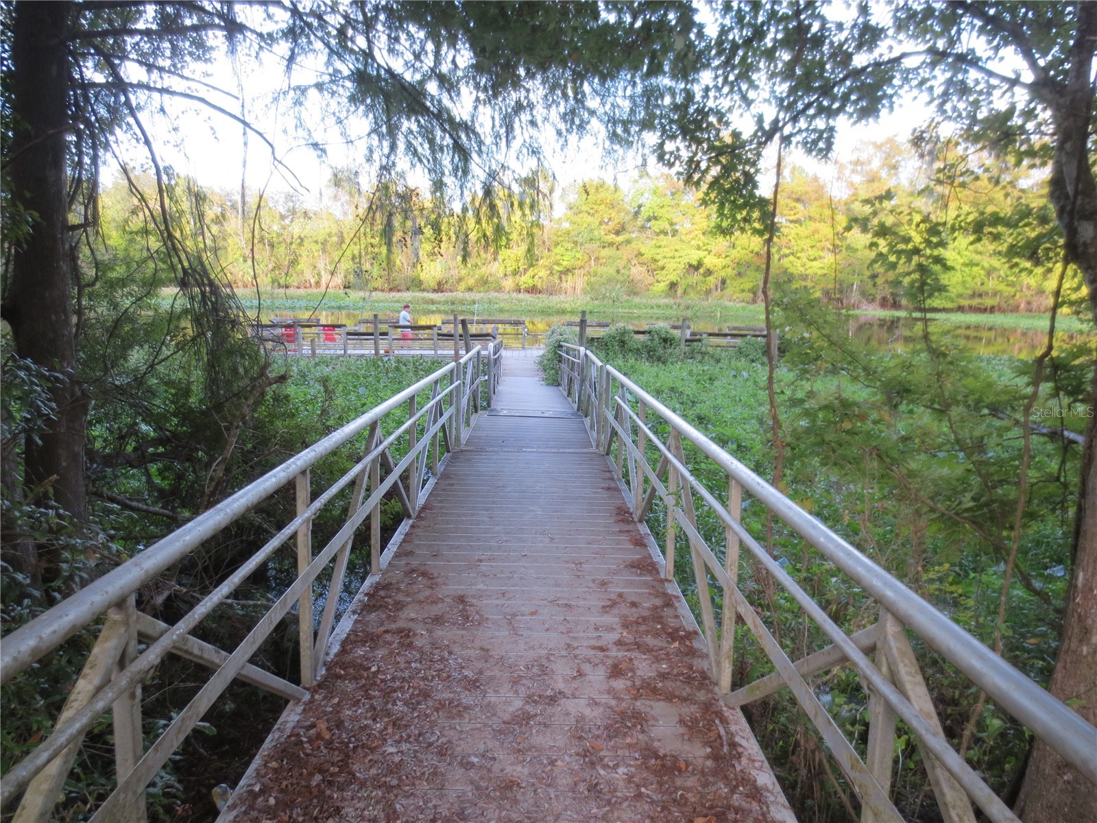 5888 SE 164th Avenue Ocklawaha FL 32179 OM715794 image78