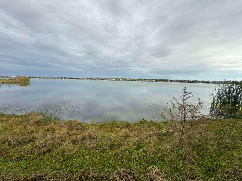 589 Blue Cypress Drive Groveland FL 34736 - Crystal Lake O6375341 image20