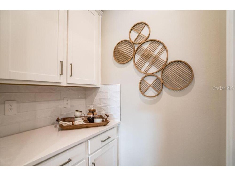 589 Moon Shell Circle New Smyrna Beach FL 32168 O6364178 image13