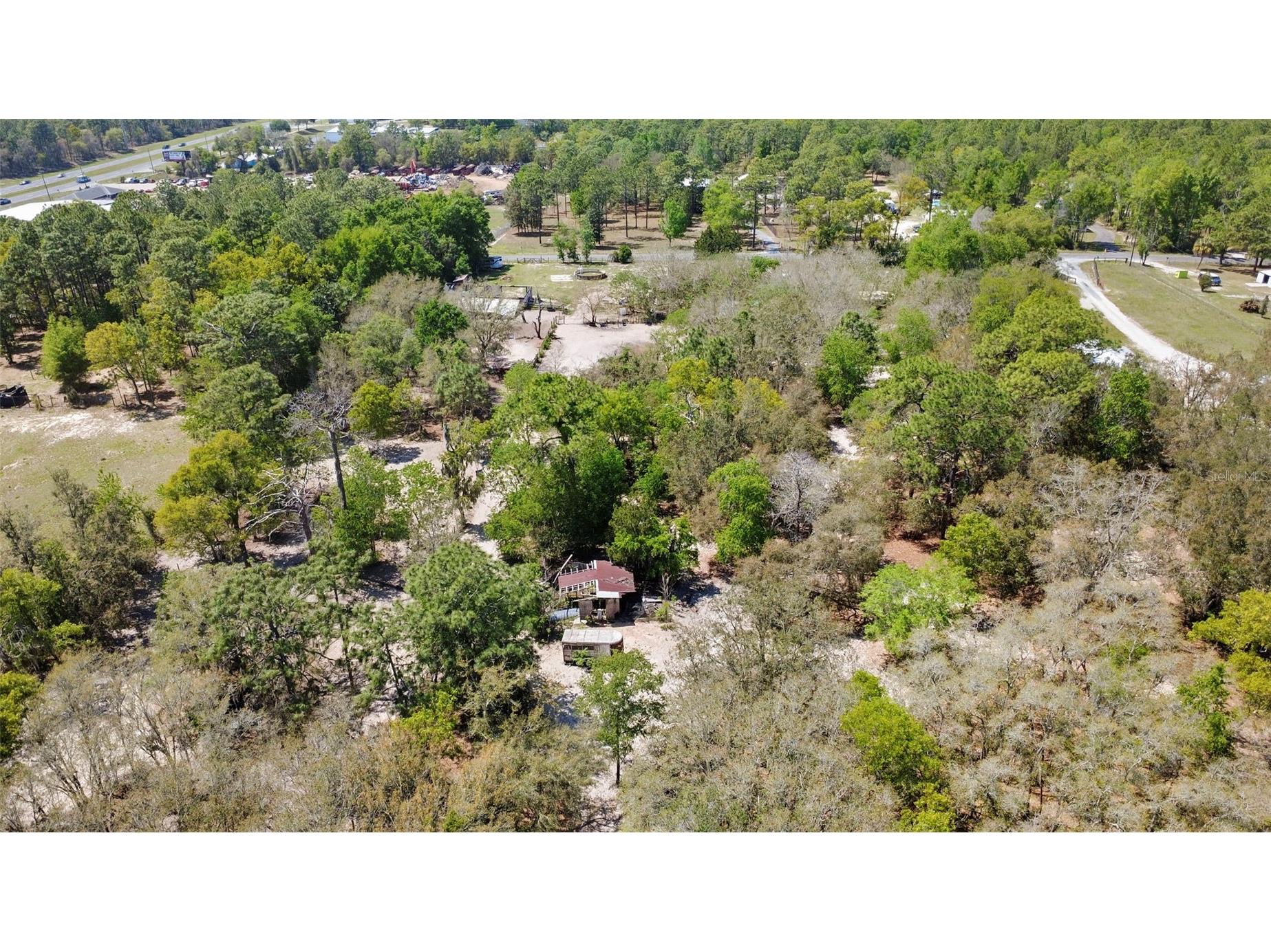 589 S Leona Avenue Lecanto FL 34461 O6395290 image7