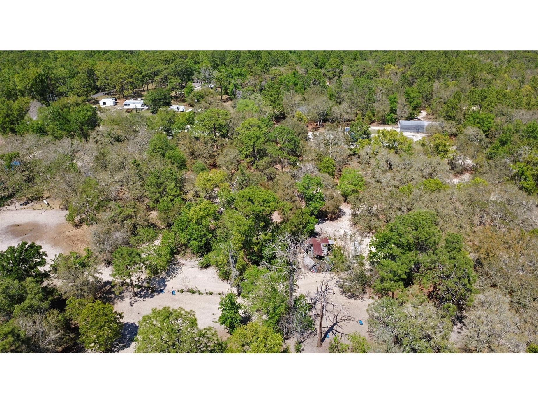 589 S Leona Avenue Lecanto FL 34461 O6395290 image8