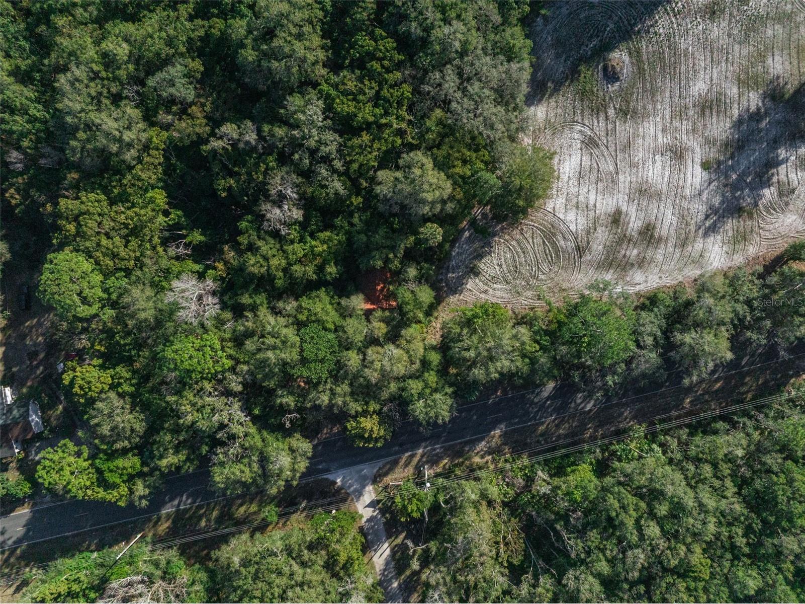 589 S Volusia Avenue Pierson FL 32180 V4947264 image5