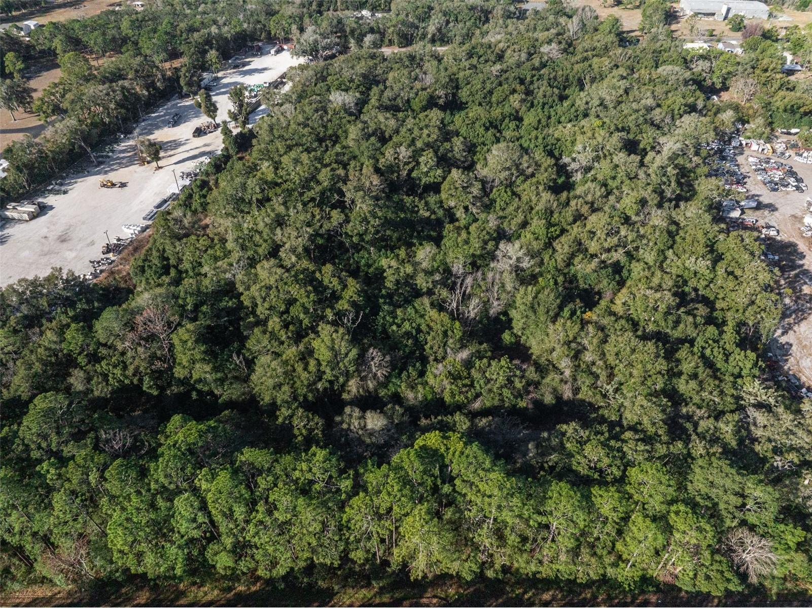 589 S Volusia Avenue Pierson FL 32180 V4947264 image7