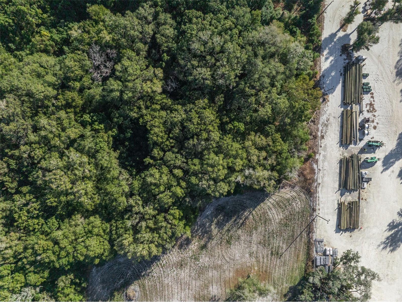589 S Volusia Avenue Pierson FL 32180 V4947264 image8