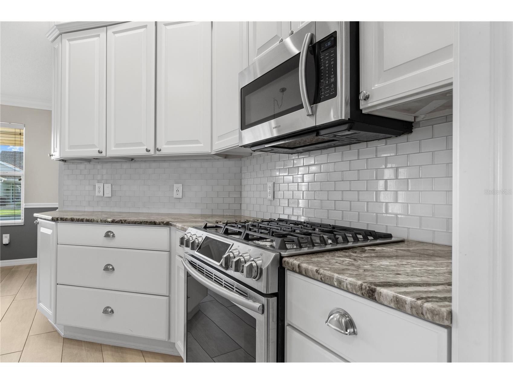 589 Sherwood Street The Villages FL 32162 OM722752 image10