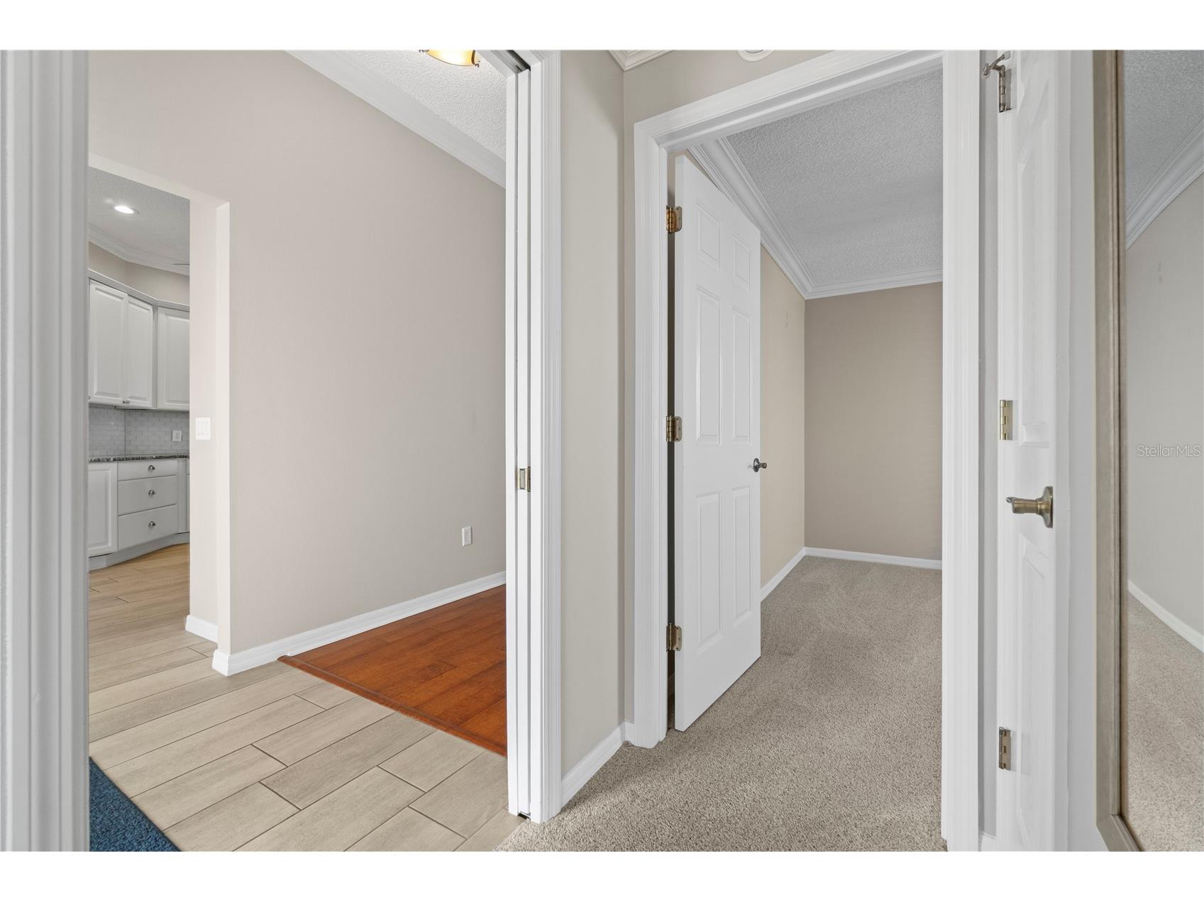 589 Sherwood Street The Villages FL 32162 OM722752 image33