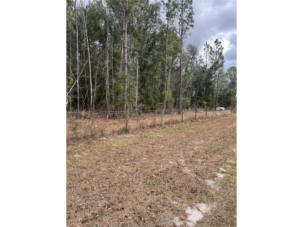 589 SW Cumorah Hill Street Fort White FL 32038 OK225802 image1