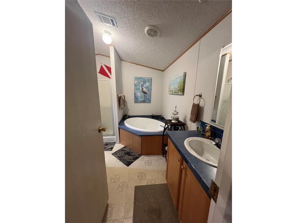 589 SW Cumorah Hill Street Fort White FL 32038 OK225802 image11